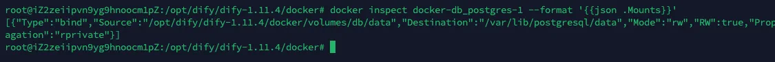 使用 docker inspect 查看 PostgreSQL 容器的 Mounts 挂载信息