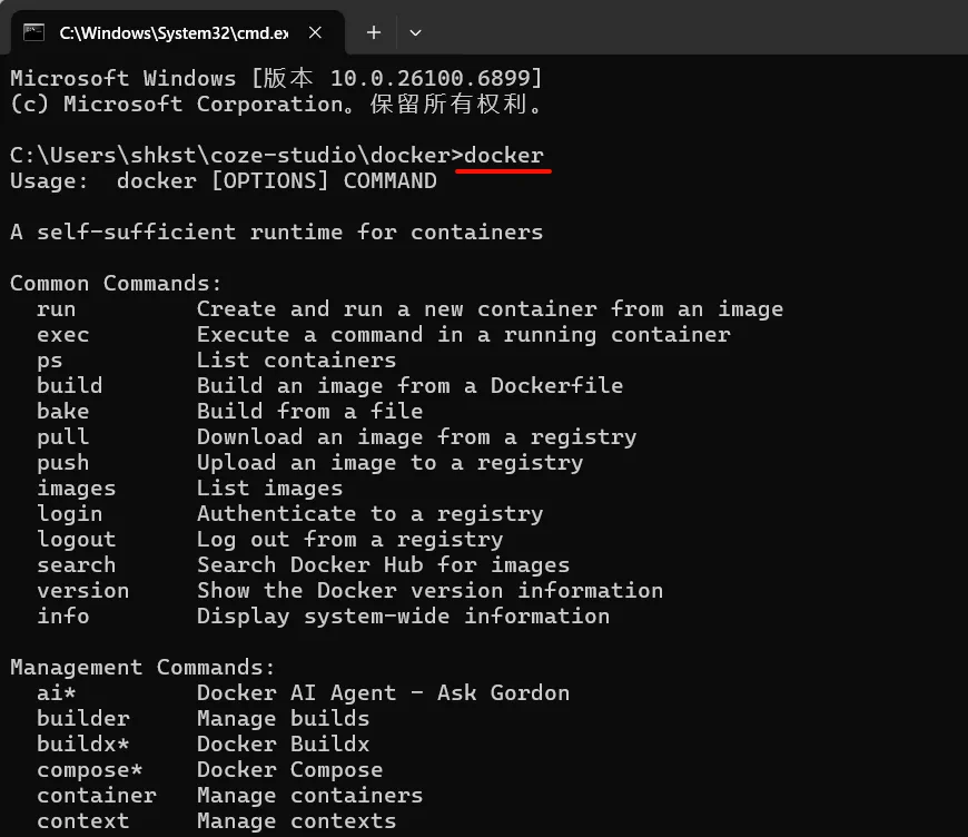 在终端中验证 Docker 是否安装成功的界面