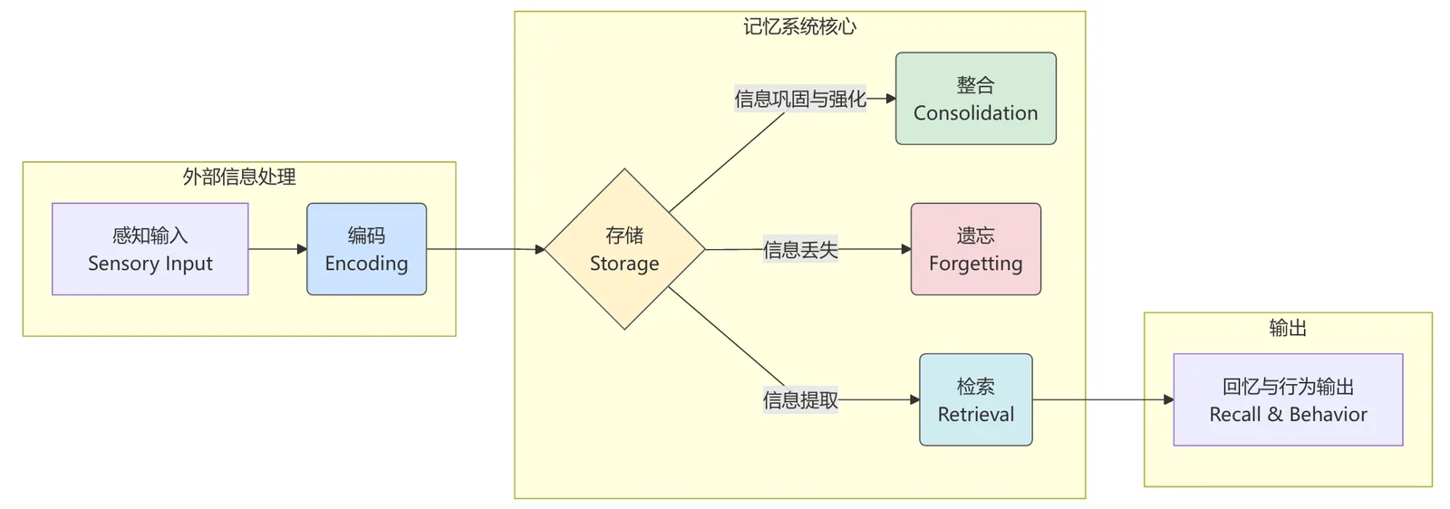 Memory Formation Process