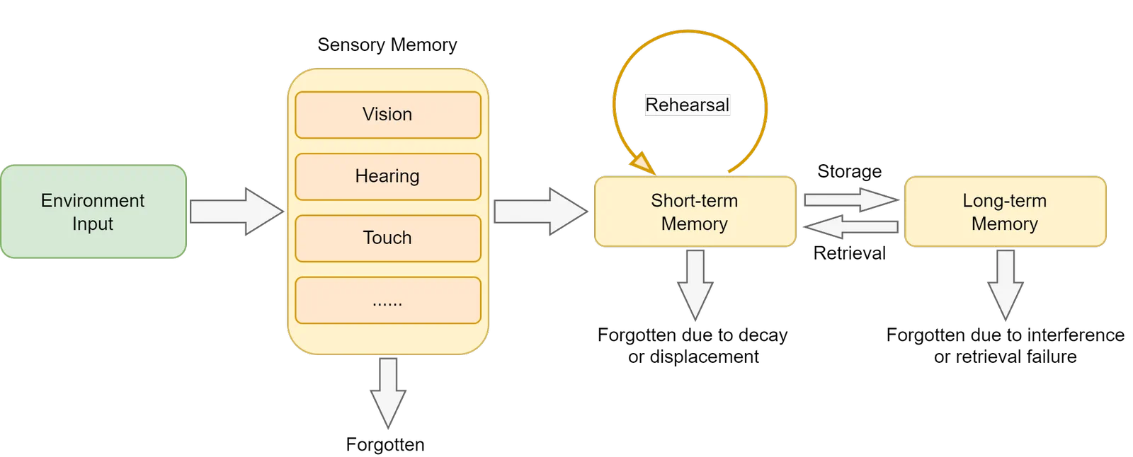 Human Memory System Structure