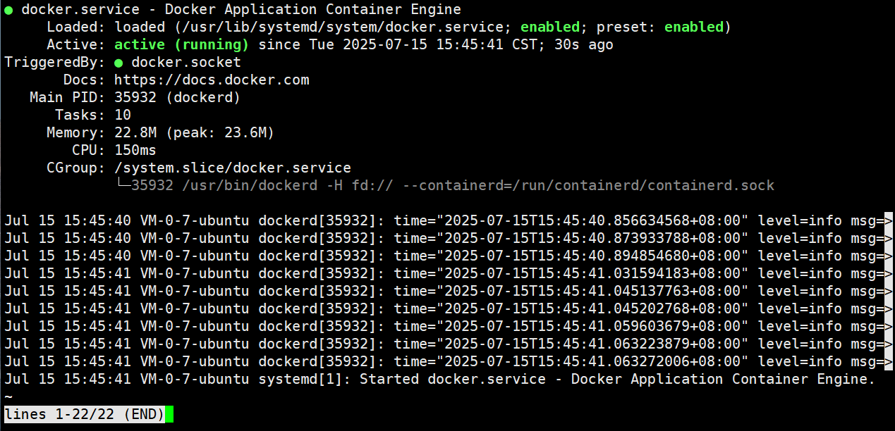 Docker 服务启动成功并显示 running 状态的界面