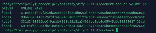 使用 docker volume ls 查看 Dify 相关 volume 列表