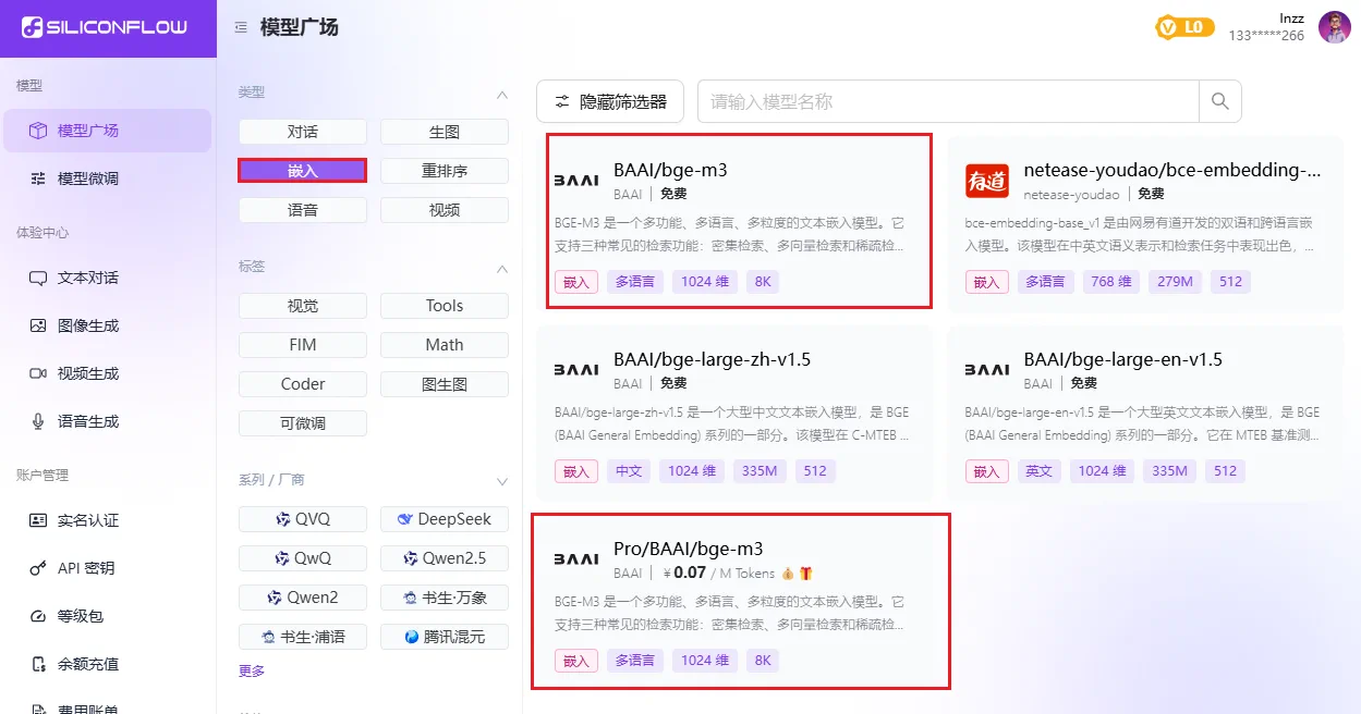 确认嵌入模型名称的界面示意图