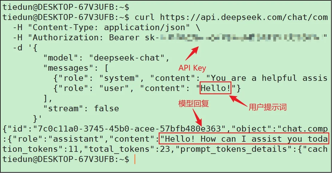 使用 curl 调用 DeepSeek API 的命令行日志示意图