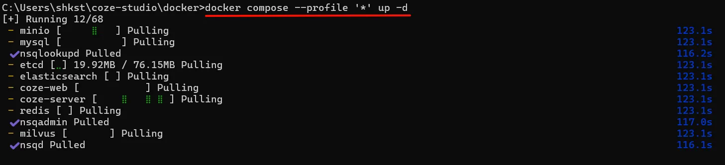 在 Docker 中启动 Coze Studio 的命令行界面