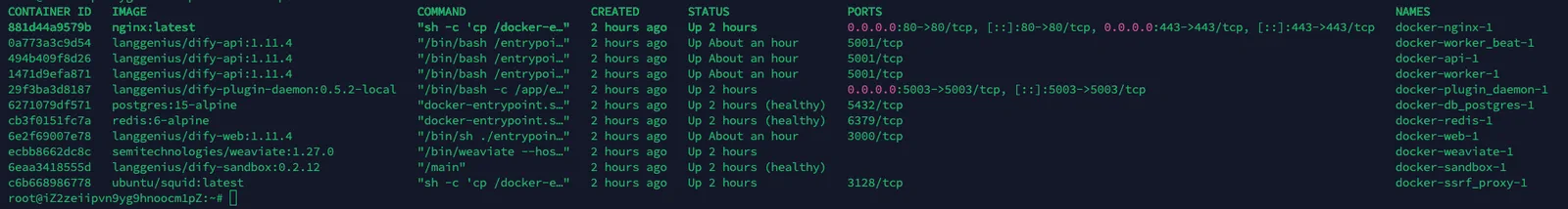 docker ps 输出中 IMAGE 列与 NAMES 列的区别